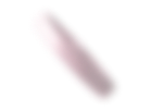 chip 1