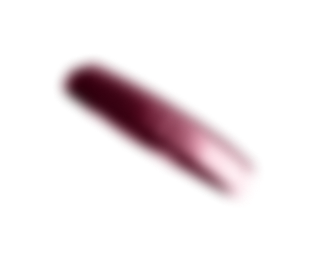 chip 4
